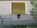 Homrogd030926 068.jpg (81kb)